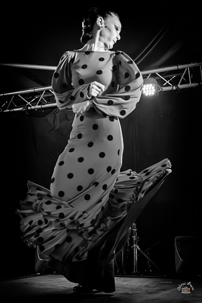 flamenco (88)
